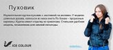 Интернет-магазин пуховиков IceColour icecolour.ru