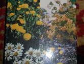 Книга "Одолень-трава" - Рим Ахмедов