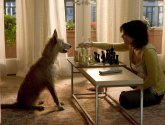 Фильм "Дом у озера" (2006)