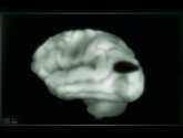 Документальный фильм  "BBC: Тайны мозга (Brain Story)" (2000)