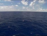 Документальный фильм  "Discovery: Погружение на дно Океана (Dive To The Bottom Of The World)" (2010)