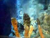 Документальный фильм  "Discovery: Погружение на дно Океана (Dive To The Bottom Of The World)" (2010)