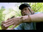 Документальный фильм  "Discovery: Снежный человек: легенды и исследования (Discovery: Sasquatсh: Legend Meets Sсienсe)" (2003)