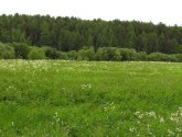 Природный парк "Оленьи ручьи" (Россия, Свердловская область)