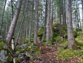 Природный парк "Оленьи ручьи" (Россия, Свердловская область)