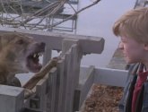 Фильм "Добрый сынок" (1993)