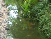 Отель South China 4* (Китай, о.Хайнань)