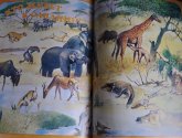 Книга "Ребятам про зверят" - Григорьева А.