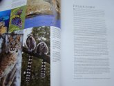 Книга "Животный мир. Иллюстрированный атлас" - издательство "Махаон"