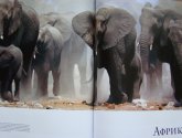 Книга "Животный мир. Иллюстрированный атлас" - издательство "Махаон"