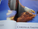 Книга "Животный мир. Иллюстрированный атлас" - издательство "Махаон"