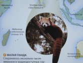Книга "Животный мир. Иллюстрированный атлас" - издательство "Махаон"