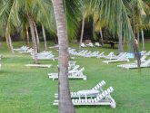 Laguna Sea Lodge 3* (Кения, Килифи)