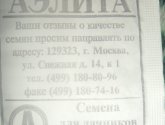 Редис ЖАРА