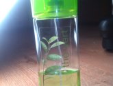 Кельнская вода Yves Rocher De Cologne The Vert Зеленый Чай