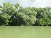 Прогулка на теплоходе по реке Кубань (Россия, Краснодар)