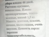 Семена кабачков "Цуккини Аэронавт"