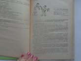 Книга "Развивайте дар слова" - автор-составитель Ладыженская Т., Зепалова Т.