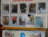 Выставка кошек «Замур-р-рчательная осень» в ТРЦ Июнь (Россия, Красноярск)