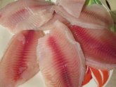Тилапия "ХладоПродуктСервис" филе