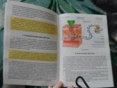 Книга "Энциклопедия игольчатого массажа"
