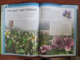Детская энциклопедия "Динозавры" - Бентон Майк