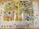 Книга "Мой первый атлас мира" с наклейками - издательство "Омега-пресс"