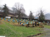 Пасека "Два медведя" (Россия, Красная поляна)